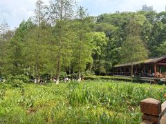 -重庆彩云湖湿地公园