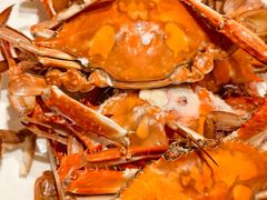 -渔民船说·北塘海鲜·天津菜·海肠捞饭(北塘古镇店)