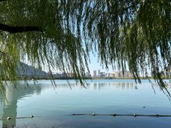 -天鹅湖体育公园