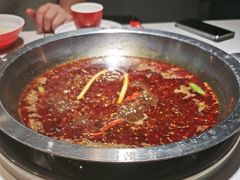 -蜀滋香鲜鱼美蛙火锅(339店)