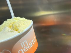 -Dip in Gelato(富民路店)