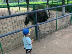 -长白岛森林公园