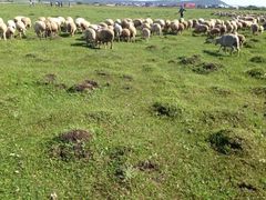 iphone_upload_pic-塞罕坝国家级自然保护区