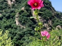 -秦岭终南山世界地质公园翠华山景区