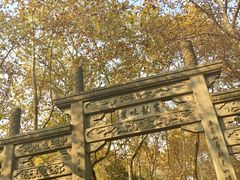 -杭州黄龙洞