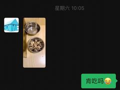 -宠物之家Pets Home 宠物寄养酒店