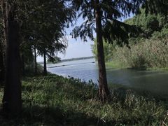 -贡湖湾湿地公园