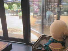 -bluefrog蓝蛙(水游城店)