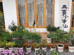 -DORA kids 朵拉儿童摄影花园店