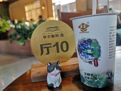 -华农酸奶文化馆