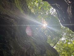 -牛背梁国家森林公园