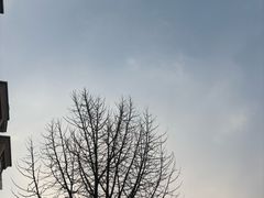 -禾斗海鲜自助(城阳宝龙店)