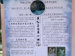 -青藏高原野生动物园