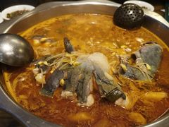 贵州酸汤鱼锅底-芦苇荡·酸汤鱼(回龙观店)