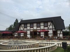 -金山农民画村-枫泾波兰倒置屋