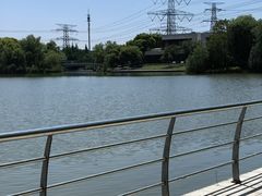 -九里河湿地公园
