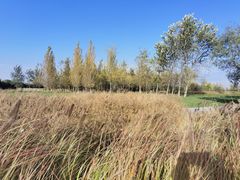 -汉长安城未央宫国家考古遗址公园