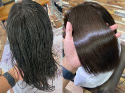 点击看大图 -IDOL-PLUS
