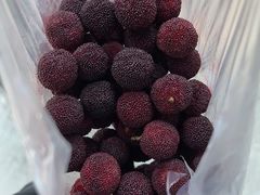 -花园菜市场