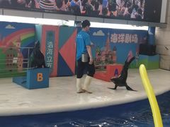 -成都浩海立方海洋公园