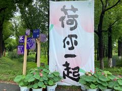 -嘉北郊野公园