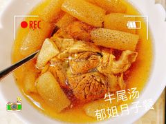 -爱月宝月嫂·育儿嫂(哈尔滨总店)