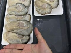 -濠轩阁特色生蚝火锅(水湾路店)