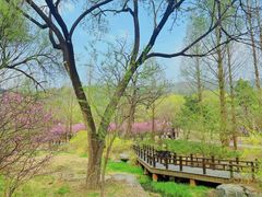 -国家植物园南园