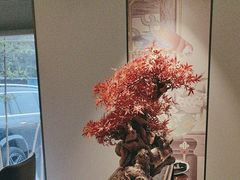 -顺峰(农展馆店)