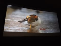 -万达影城(大明宫万达广场IMAX店)