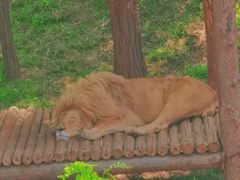 -石家庄市动物园