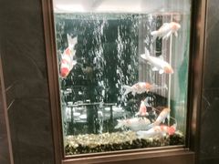 -浩运·海鲜青岛菜·海胆水饺(石老人店)