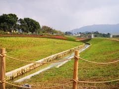 -光明小镇欢乐田园