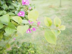 -白沙门生态公园
