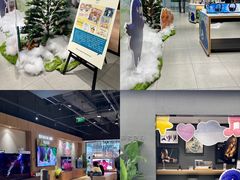 -Sony Store索尼(广州正佳店)