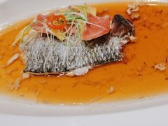 -御沪沪味园.融合菜.海鲜(斜土路店)