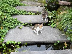 -三溪村