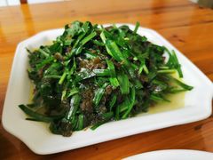 韭菜炒地皮菜-山里人家土菜馆(茅山店)
