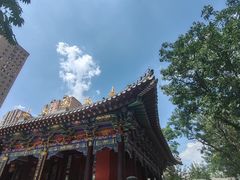 -护国法轮寺