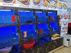 -鑫鸿达·海鲜闽菜热炒小馆(中山路店)
