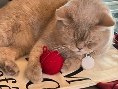 -MIMO CAFE(沙头角店)