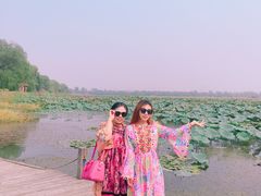 -焦岗湖旅游度假区
