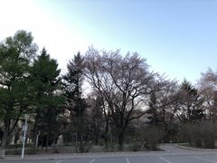 -吉林大学(南岭校区)