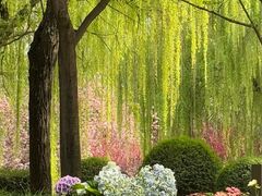 -唐城墙遗址公园