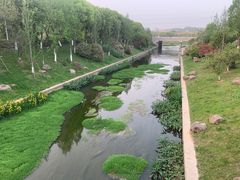 -羊山湖公园