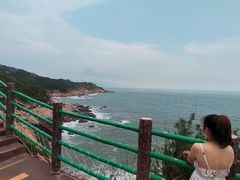 -广东惠东海龟国家级自然保护区