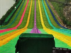 -梦幻奥陶纪景区