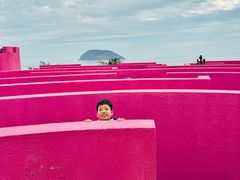 -漳州滨海火山岛自然生态风景区
