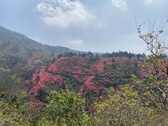 -木兰云雾山