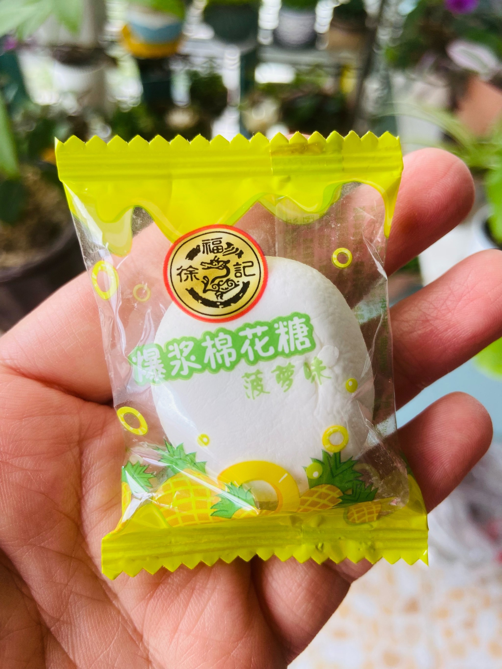 1～谁还记得儿时最爱的棉花糖